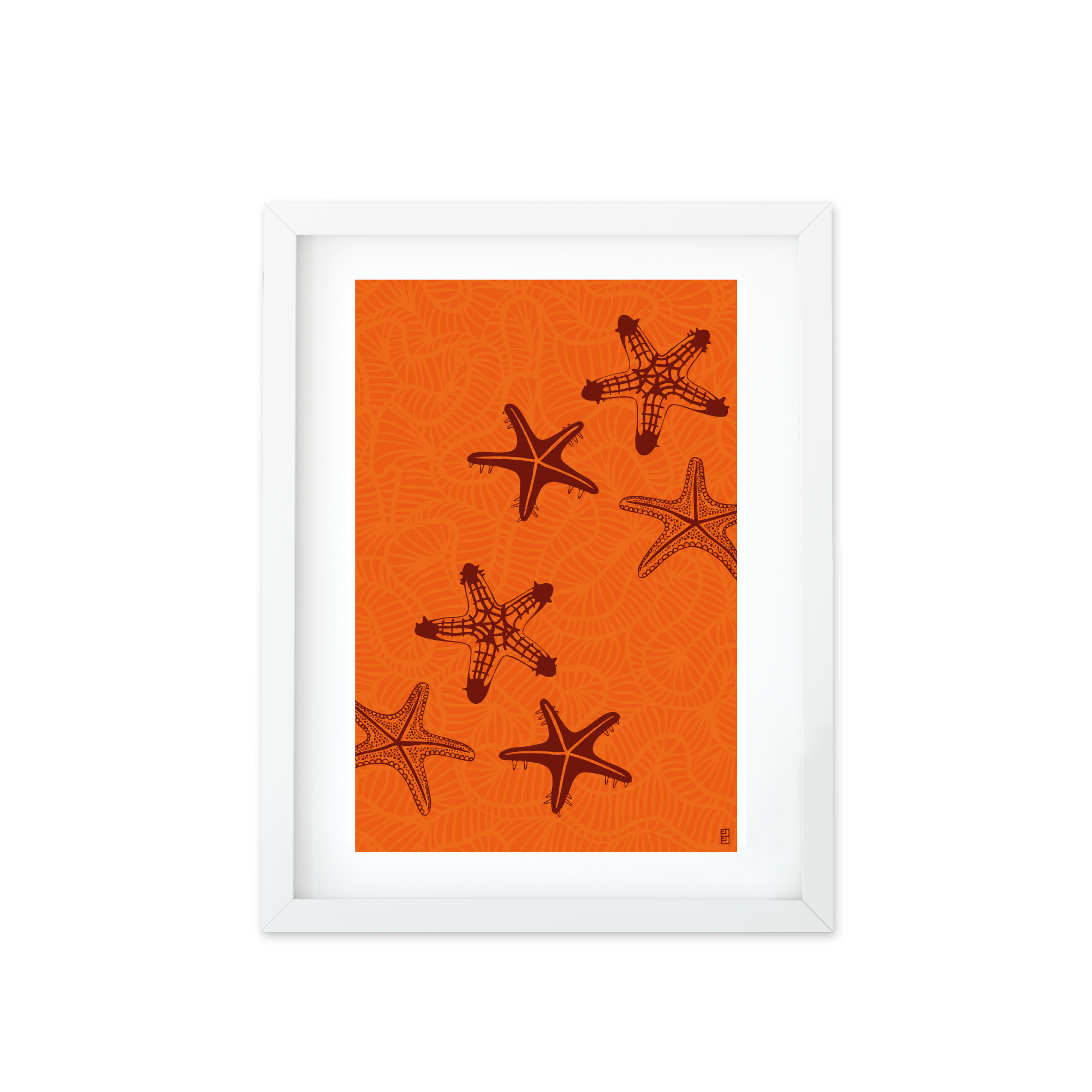 Star Fish A3 Print In Orange