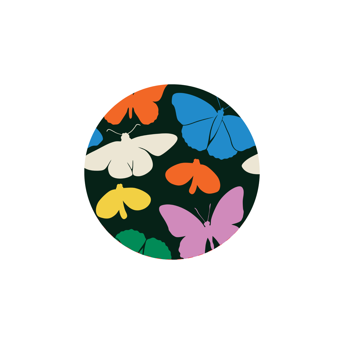 Flutter Butterfly Fridge Magnets