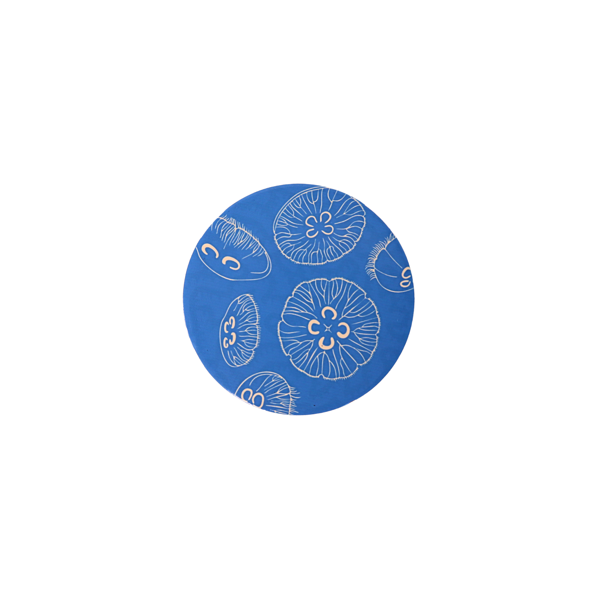 Ocean Vibes Clear Jellies Fridge Magnets By Lulu Kitololo