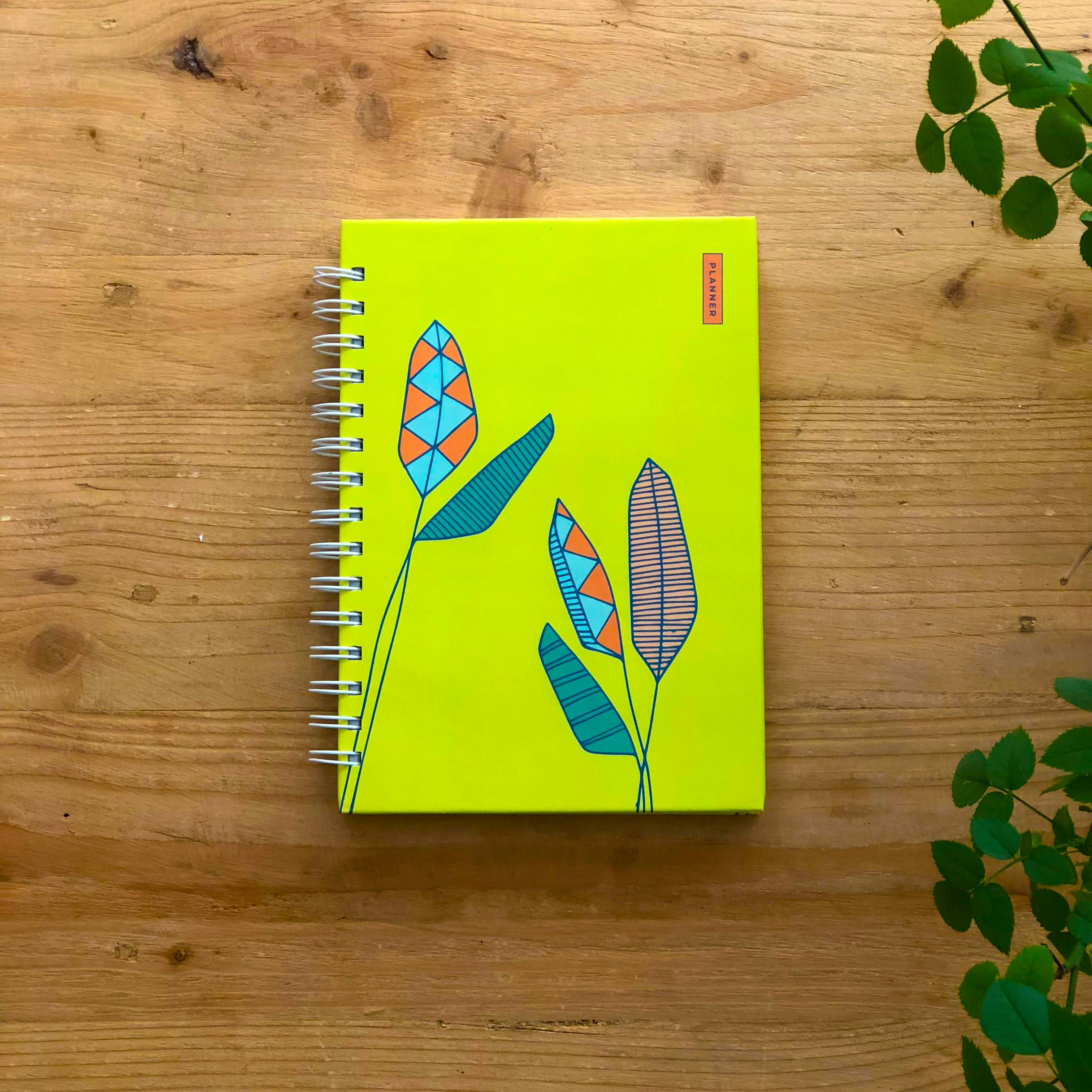 Palms Creative Confidence Planner by Lulu Kitololo