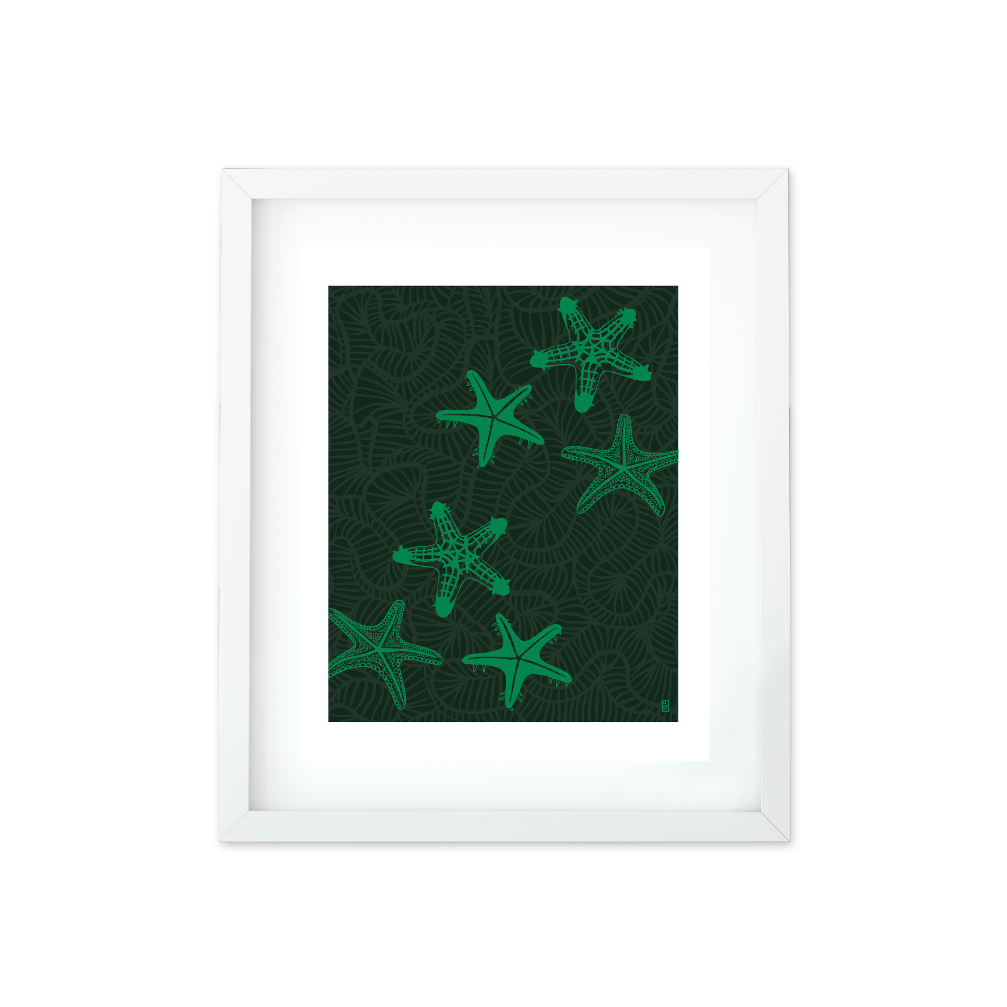 Star Fish 8 by 10 Art Print in Green by Lulu Kitololo